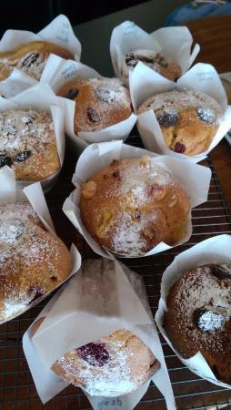 Beartown Coffee House